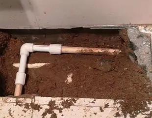 寒亭测漏水哪家好