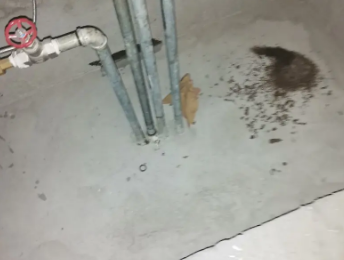 寒亭卫生间测漏水价格明细